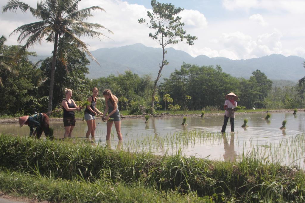 Ijen Bondowoso Home Stay Bagian luar foto